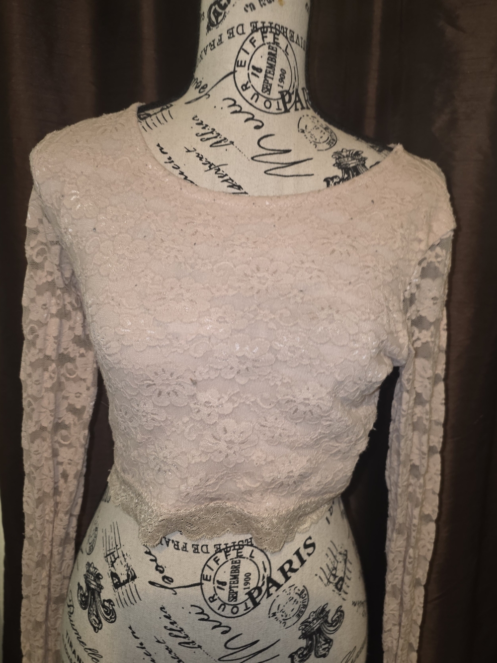 Forever 21 Blush Lace Long-Sleeve Crop Top Size Medium